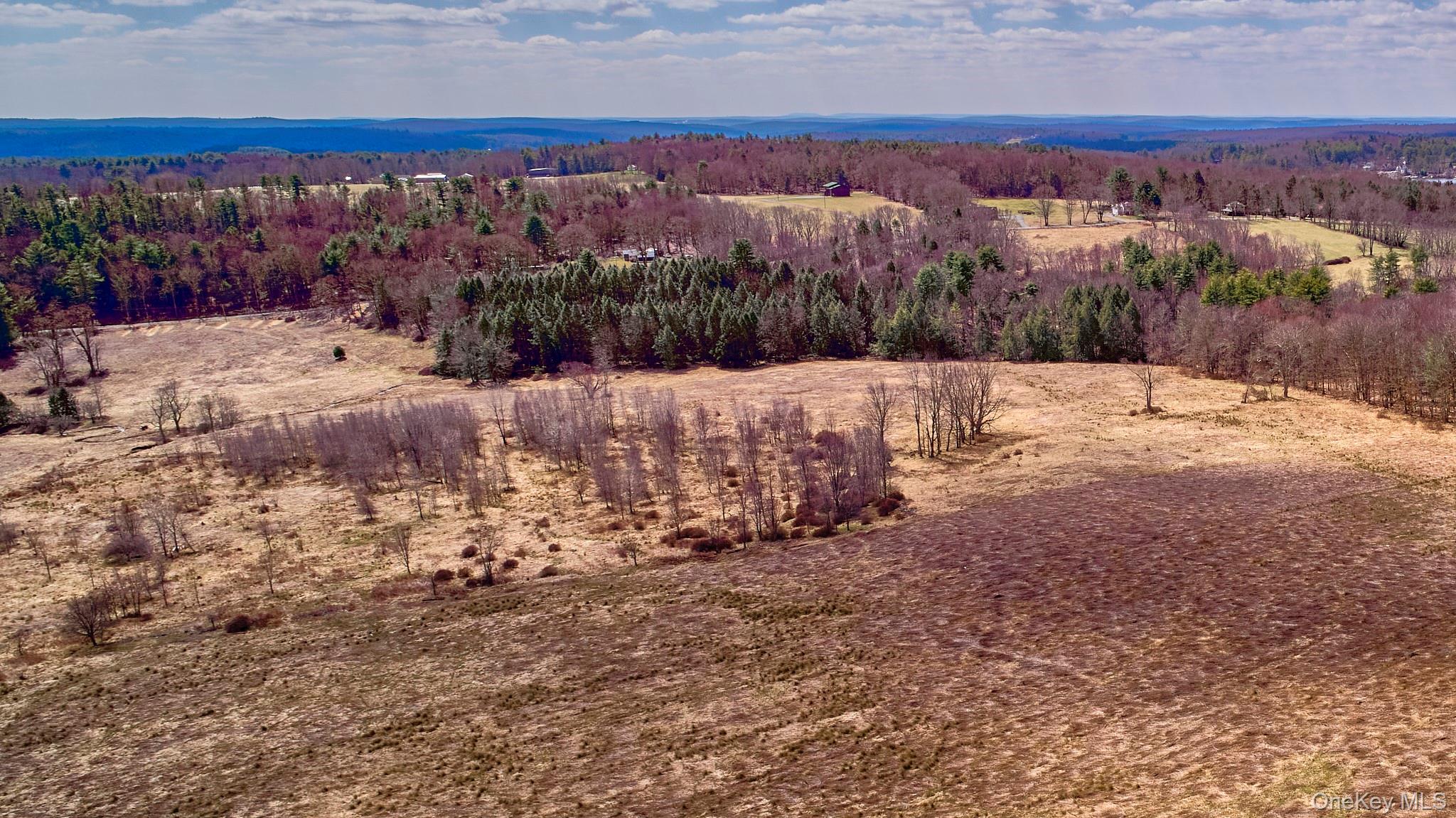 Lot 17.9 Shortcut Road Cochecton, NY 12726 - Photo 16 of 21 Bird's eye view of a forest