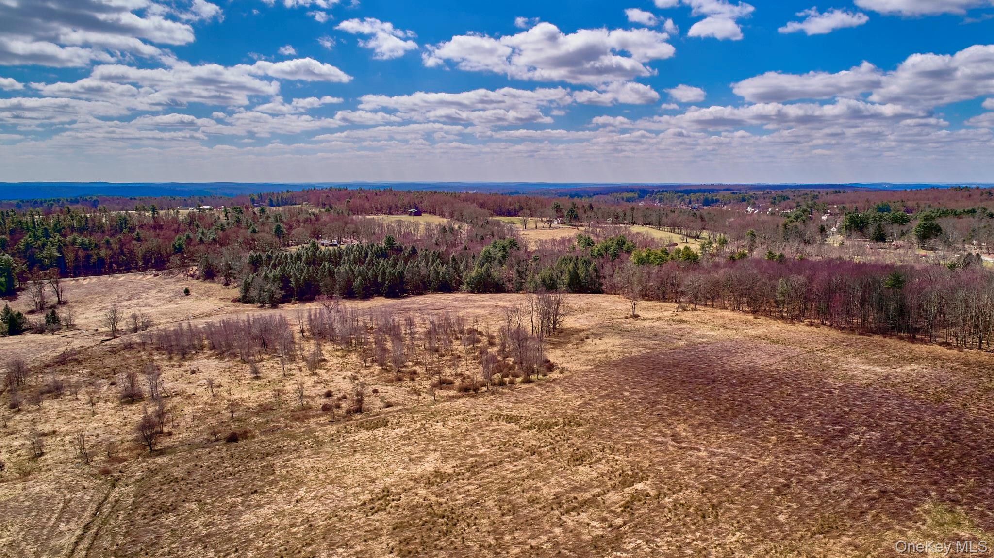 Lot 17.9 Shortcut Road Cochecton, NY 12726 - Photo 17 of 21 Bird's eye view of a heavily wooded area