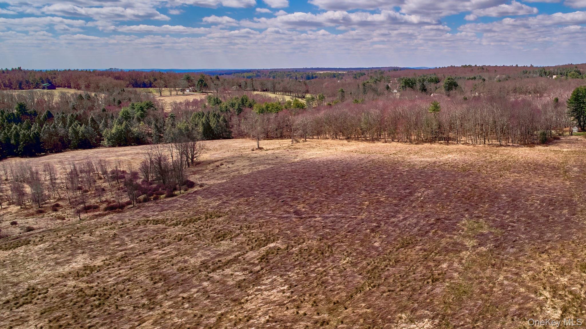 Lot 17.9 Shortcut Road Cochecton, NY 12726 - Photo 18 of 21 View of yard featuring a view of countryside