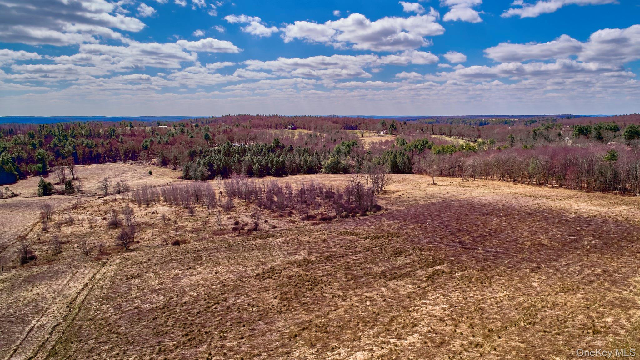 Lot 17.9 Shortcut Road Cochecton, NY 12726 - Photo 19 of 21 Drone / aerial view of a forest