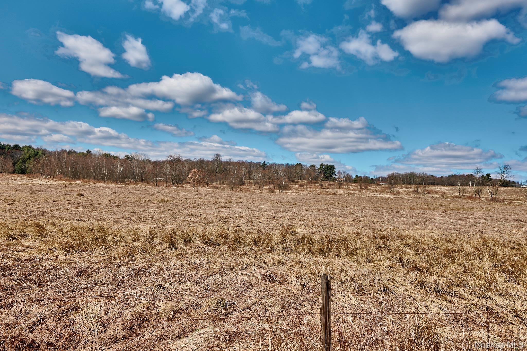 Lot 17.9 Shortcut Road Cochecton, NY 12726 - Photo 2 of 21 View of local wilderness featuring rural landscape