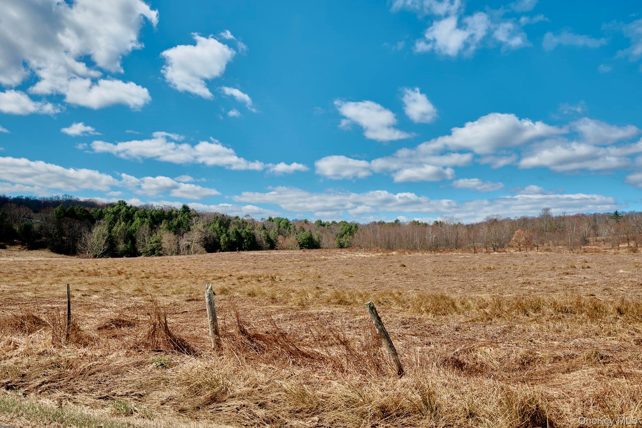 Lot 17.9 Shortcut Road Cochecton, NY 12726 - Photo 3 of 21 View of yard with a rural view and a view of trees
