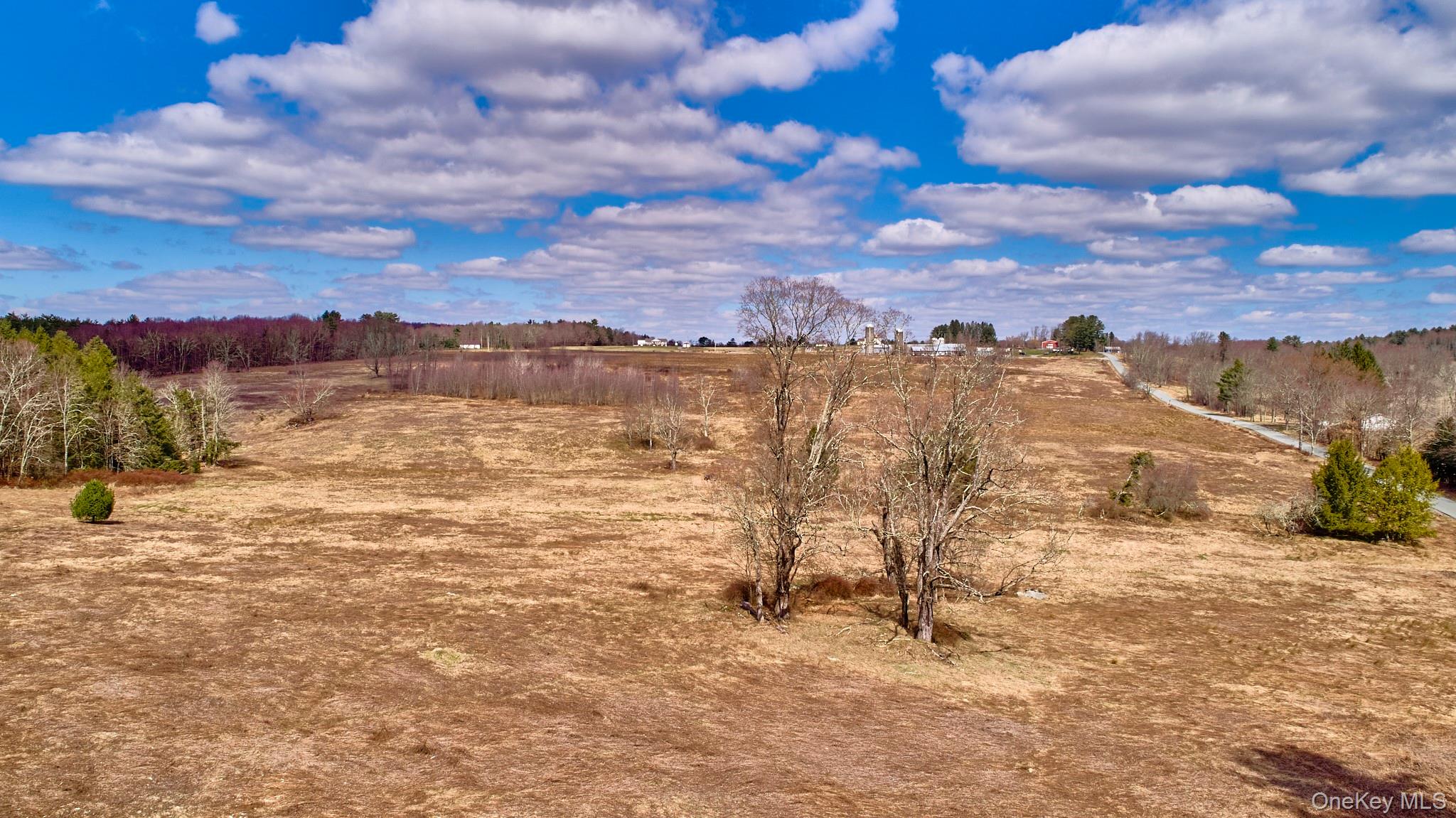 Lot 17.9 Shortcut Road Cochecton, NY 12726 - Photo 4 of 21 View of yard with a view of countryside
