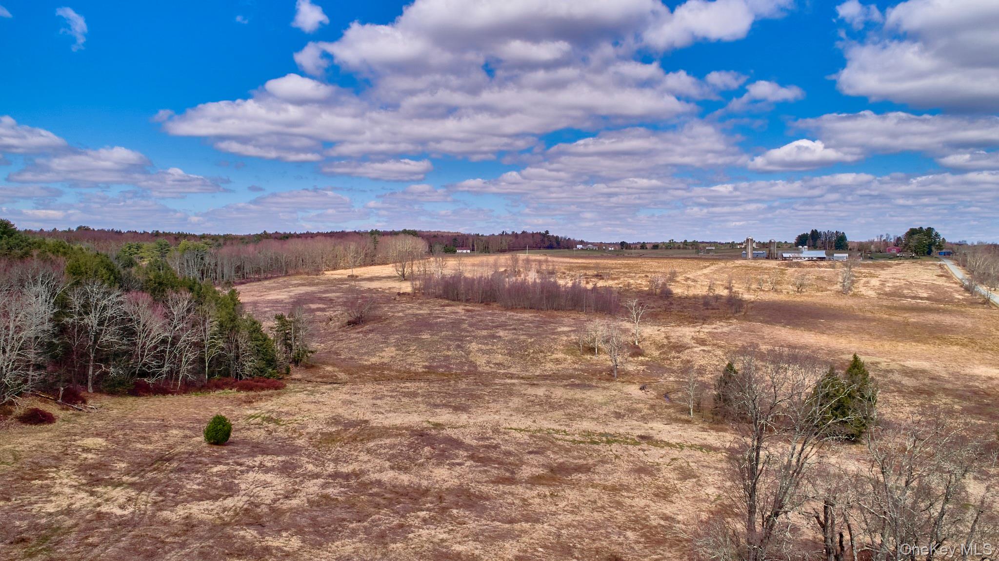 Lot 17.9 Shortcut Road Cochecton, NY 12726 - Photo 5 of 21 View of yard with a view of countryside