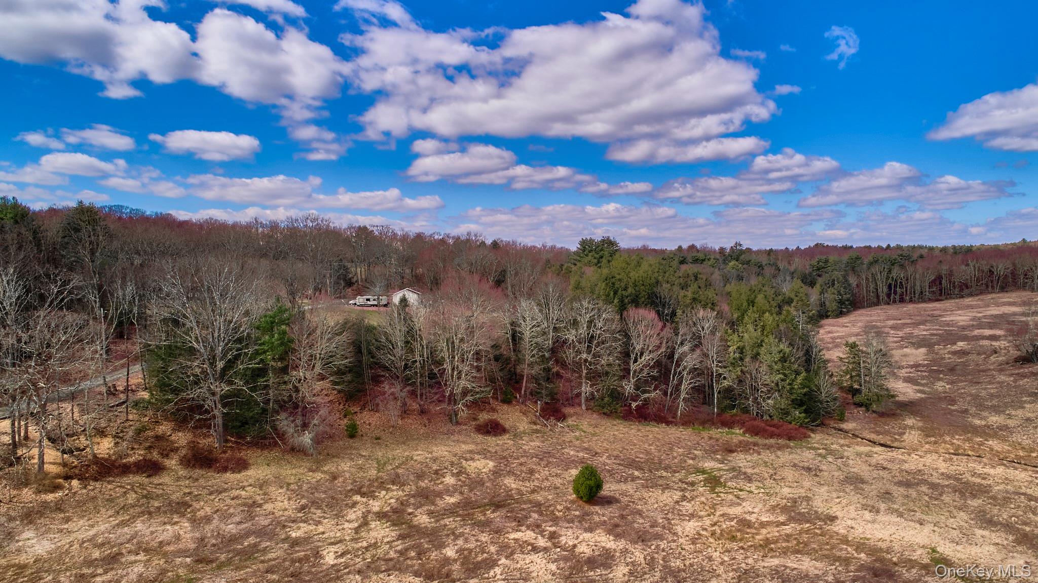 Lot 17.9 Shortcut Road Cochecton, NY 12726 - Photo 7 of 21 Mountain view featuring a heavily wooded area