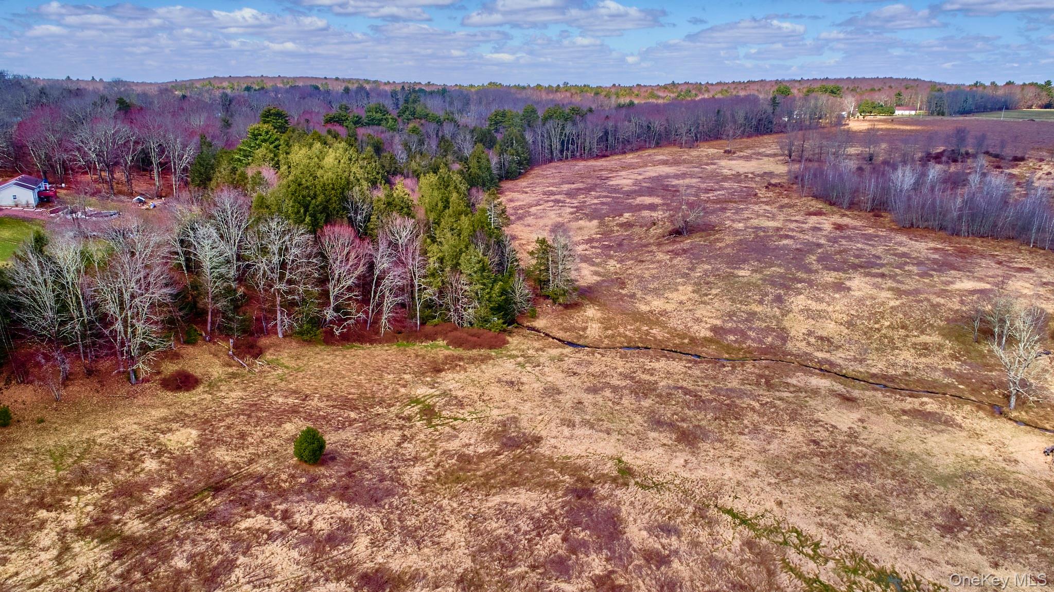 Lot 17.9 Shortcut Road Cochecton, NY 12726 - Photo 8 of 21 Drone / aerial view of a forest