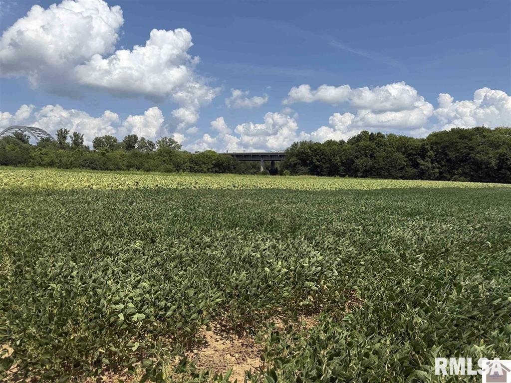 5465 Noble Road Paducah, KY 42001 - Photo 27 of 60 a view of field with an trees
