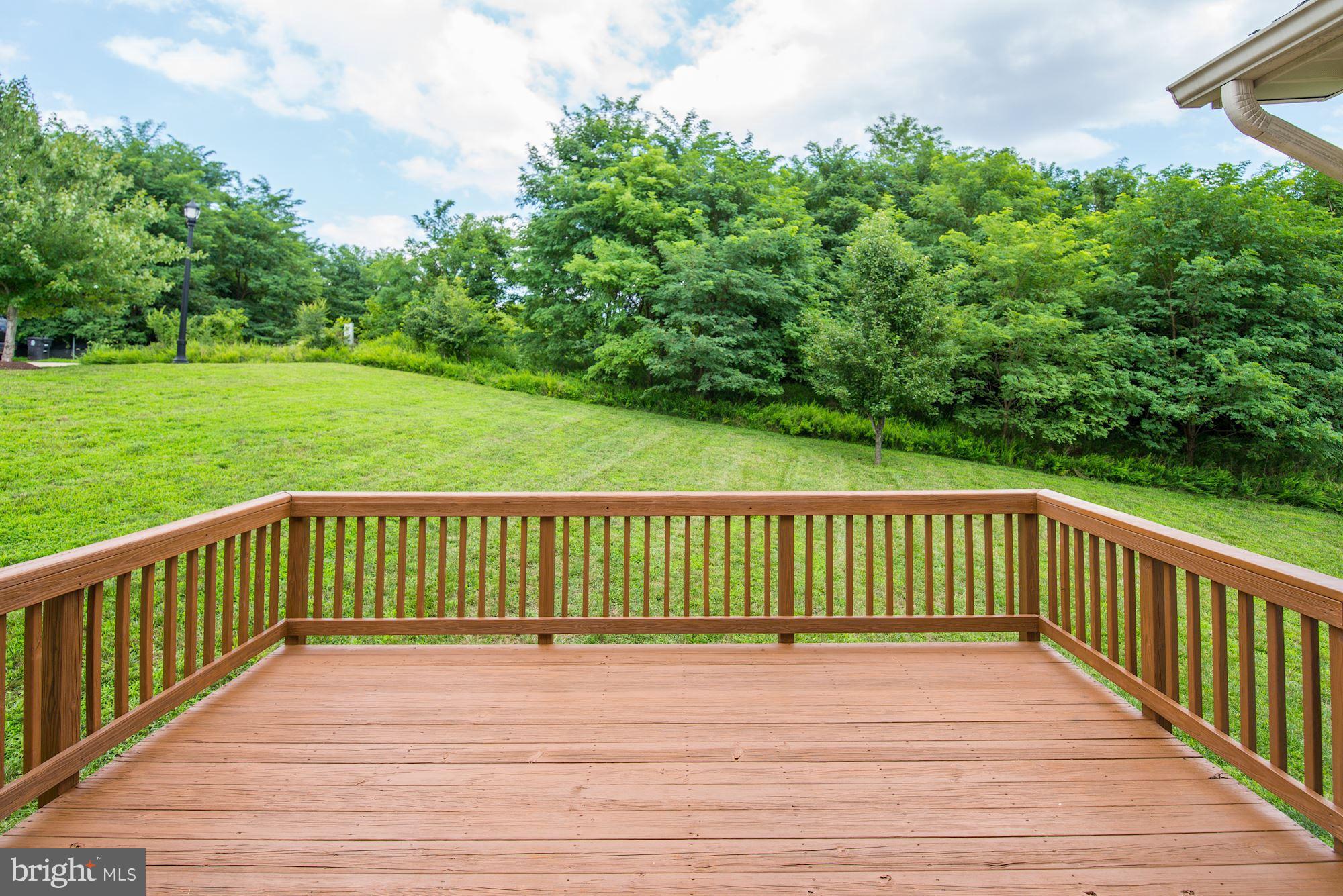 407 Potomac Ridge Drive Fort Washington, MD 20744 - Photo 28 of 30 a terrace view with a garden