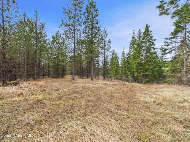 $290,000 | 3 South St Maries Id 83861, St. Maries, ID 83861