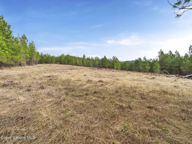 $290,000 | 3 South St Maries Id 83861, St. Maries, ID 83861