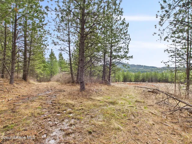 $290,000 | 3 South St Maries Id 83861, St. Maries, ID 83861