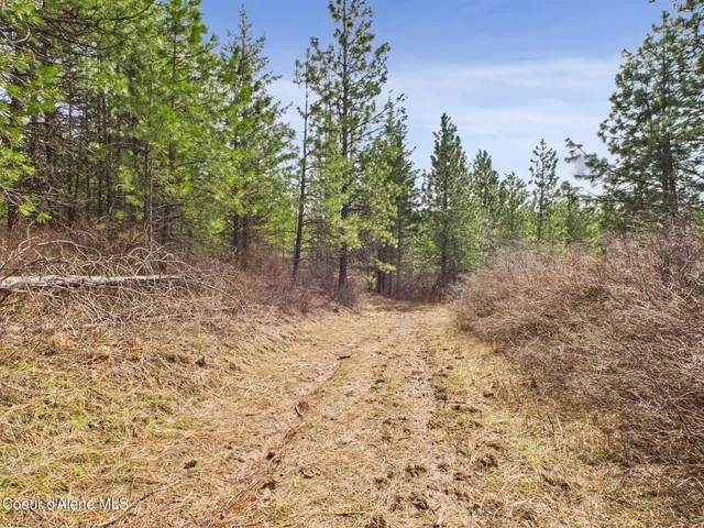 $290,000 | 3 South St Maries Id 83861, St. Maries, ID 83861