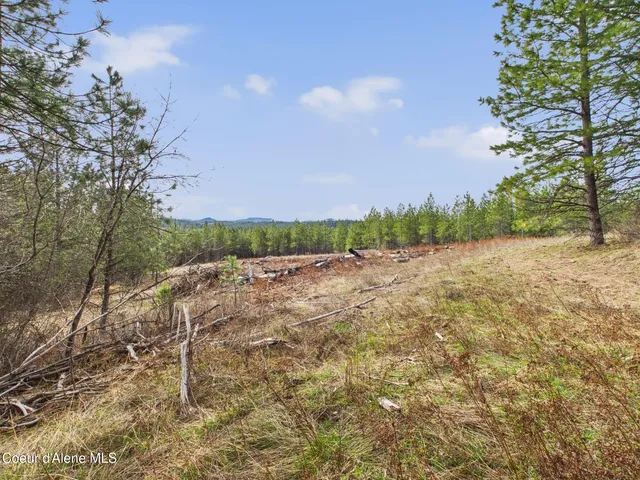 $290,000 | 3 South St Maries Id 83861, St. Maries, ID 83861