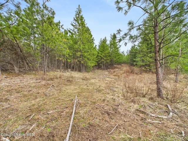 $290,000 | 3 South St Maries Id 83861, St. Maries, ID 83861