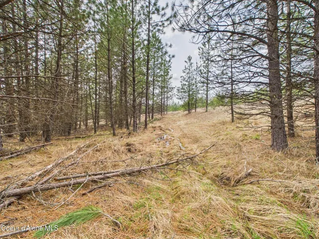 $290,000 | 3 South St Maries Id 83861, St. Maries, ID 83861