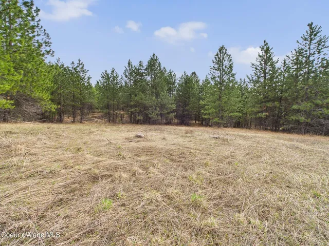 $290,000 | 3 South St Maries Id 83861, St. Maries, ID 83861