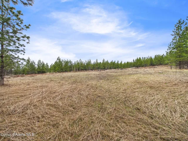 $290,000 | 3 South St Maries Id 83861, St. Maries, ID 83861