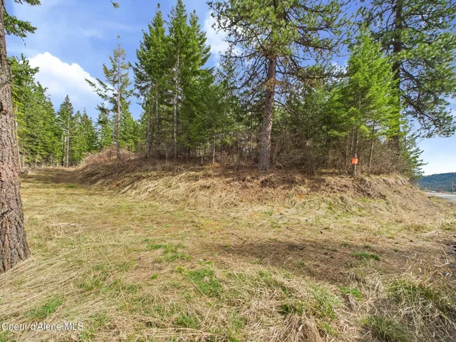 $290,000 | 3 South St Maries Id 83861, St. Maries, ID 83861