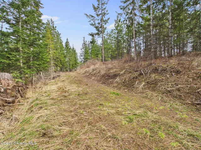 $290,000 | 3 South St Maries Id 83861, St. Maries, ID 83861