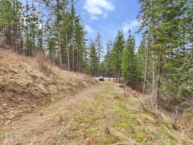 $290,000 | 3 South St Maries Id 83861, St. Maries, ID 83861