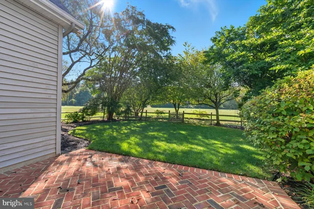 a view of a back yard