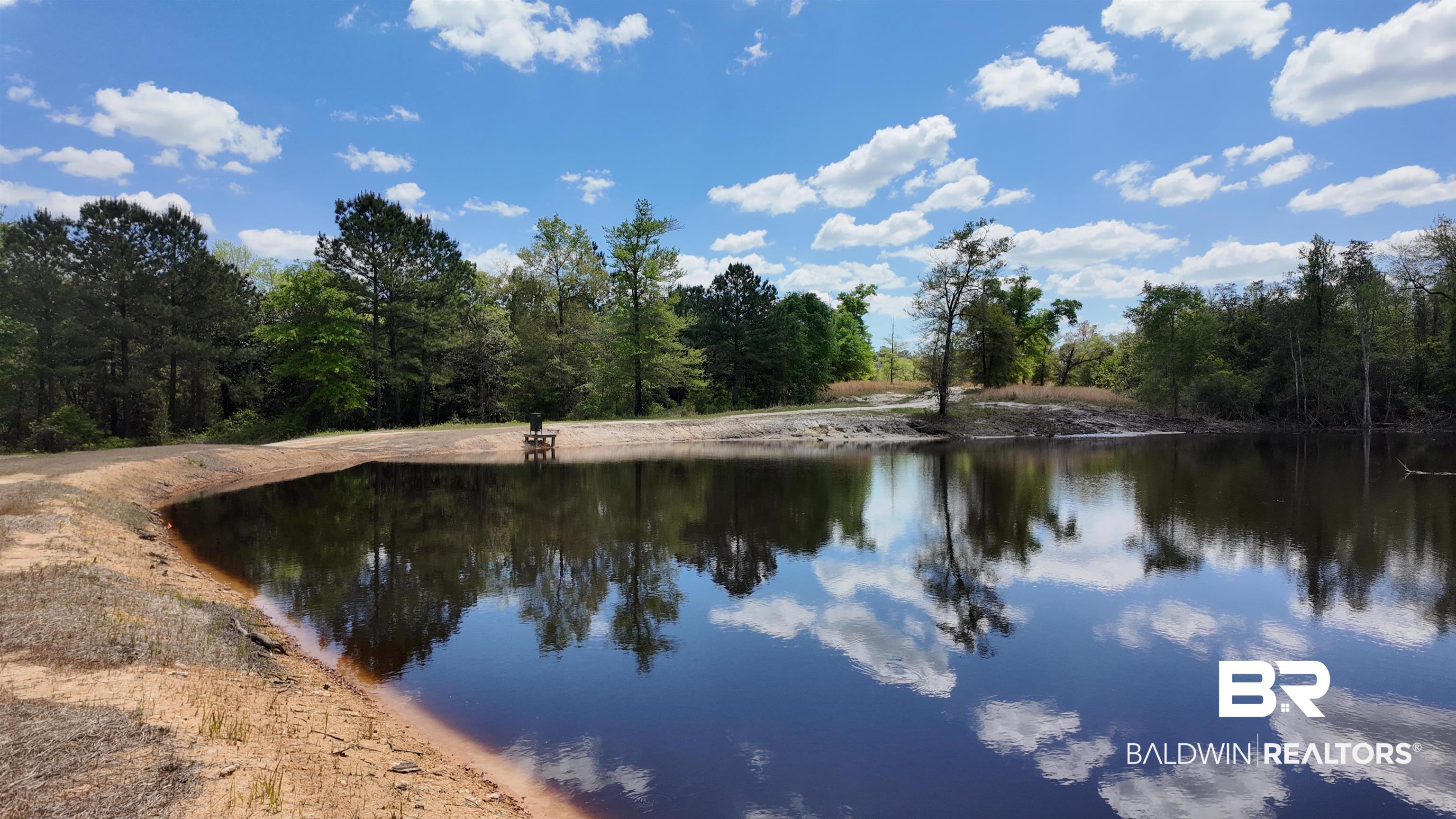 0 Powell Road Eight Mile, AL 36613 - Photo 52 of 57