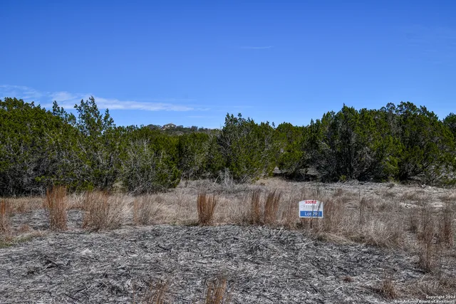 a view of a dry yard with trees