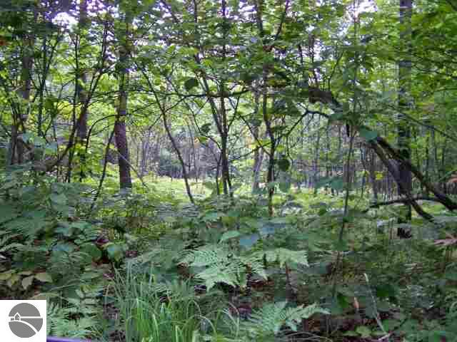 0 1st Road Harrietta, MI 49638 - Photo 2 of 5 1707815-1.JPG