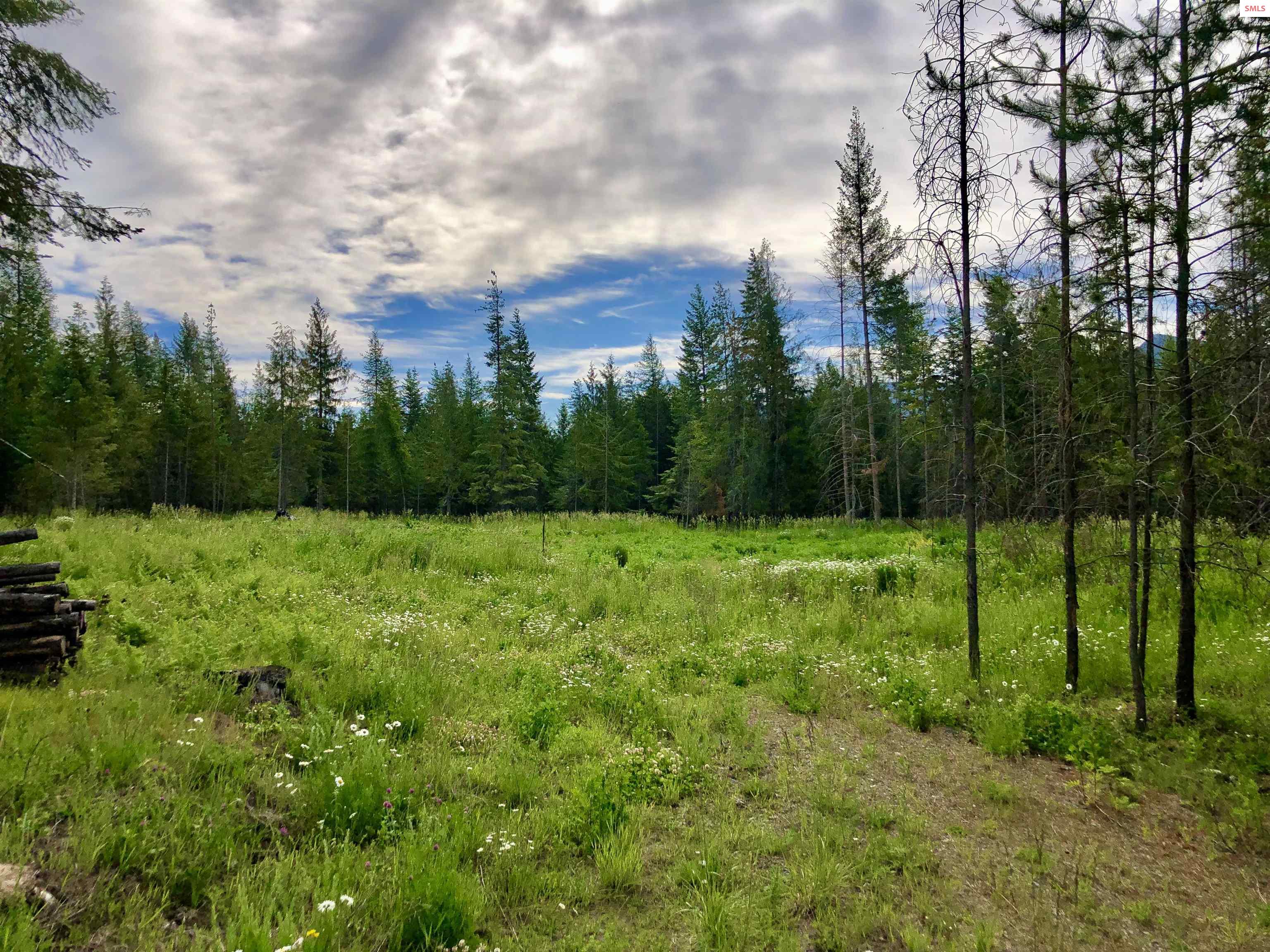 4 Lost Mile Road Naples, ID 83847 - Photo 11 of 37