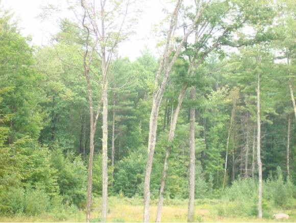 0 Owl Brook Road Holderness, NH 03245 - Photo 1 of 1