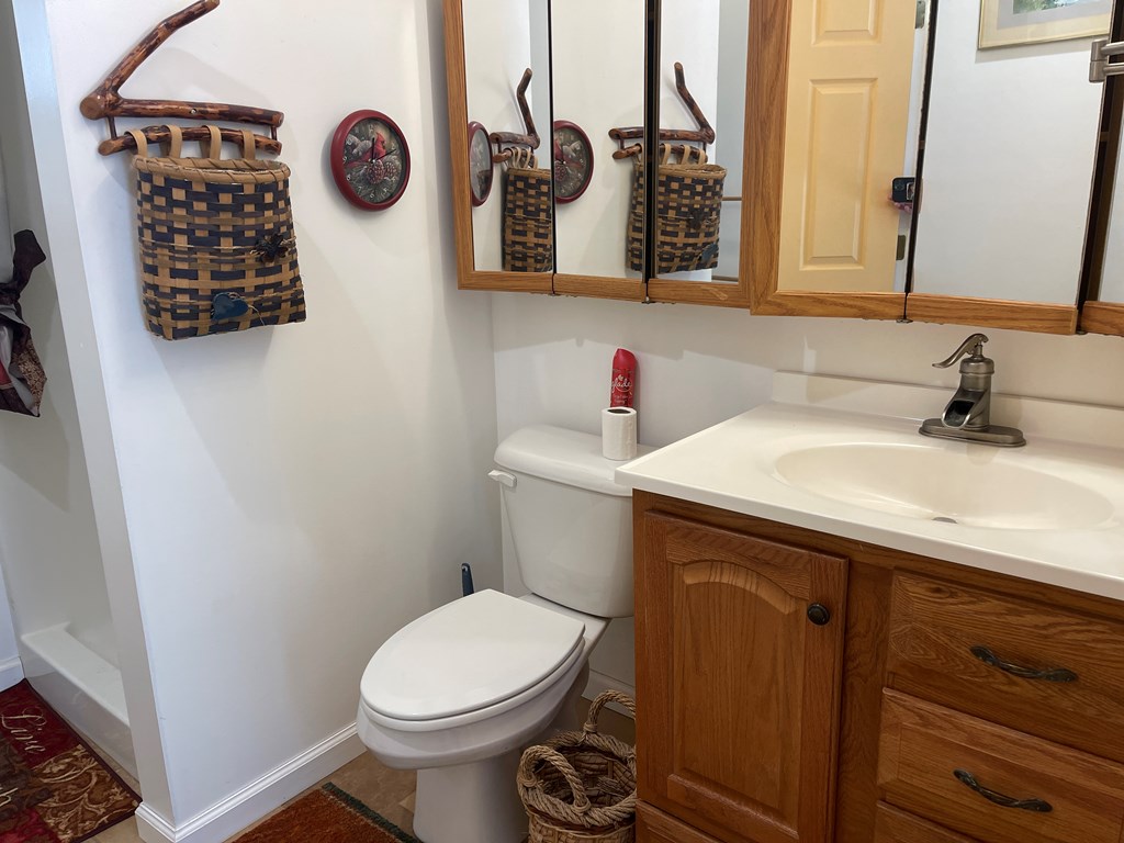 352 Partridge Lane Murphy, NC 28906 - Photo 23 of 37 Gallery Image 23