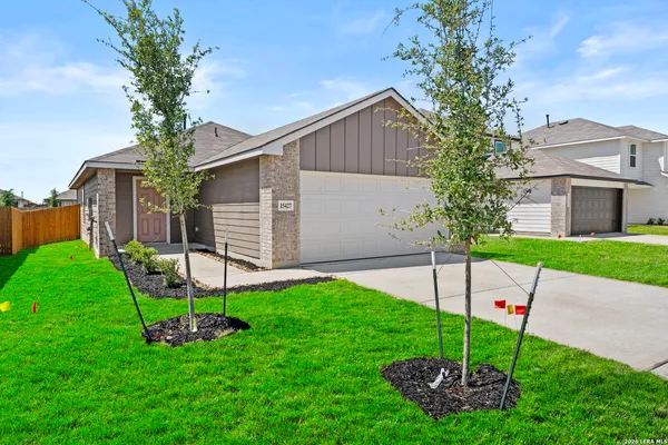 a front view of a house with garden and a tree