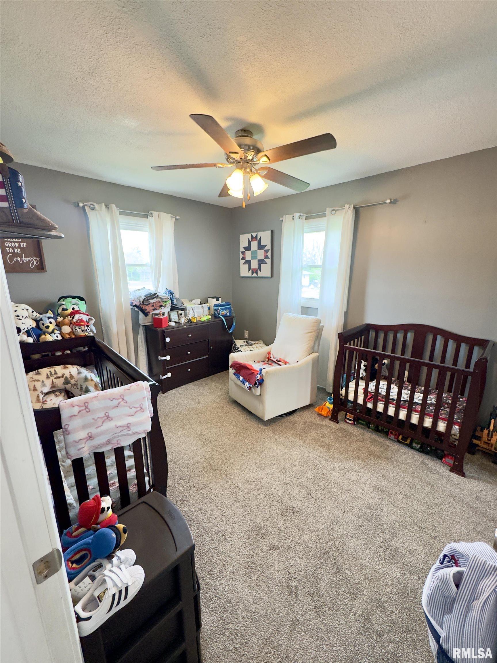 512 Magnolia Street Payson, IL 62360 - Photo 14 of 30