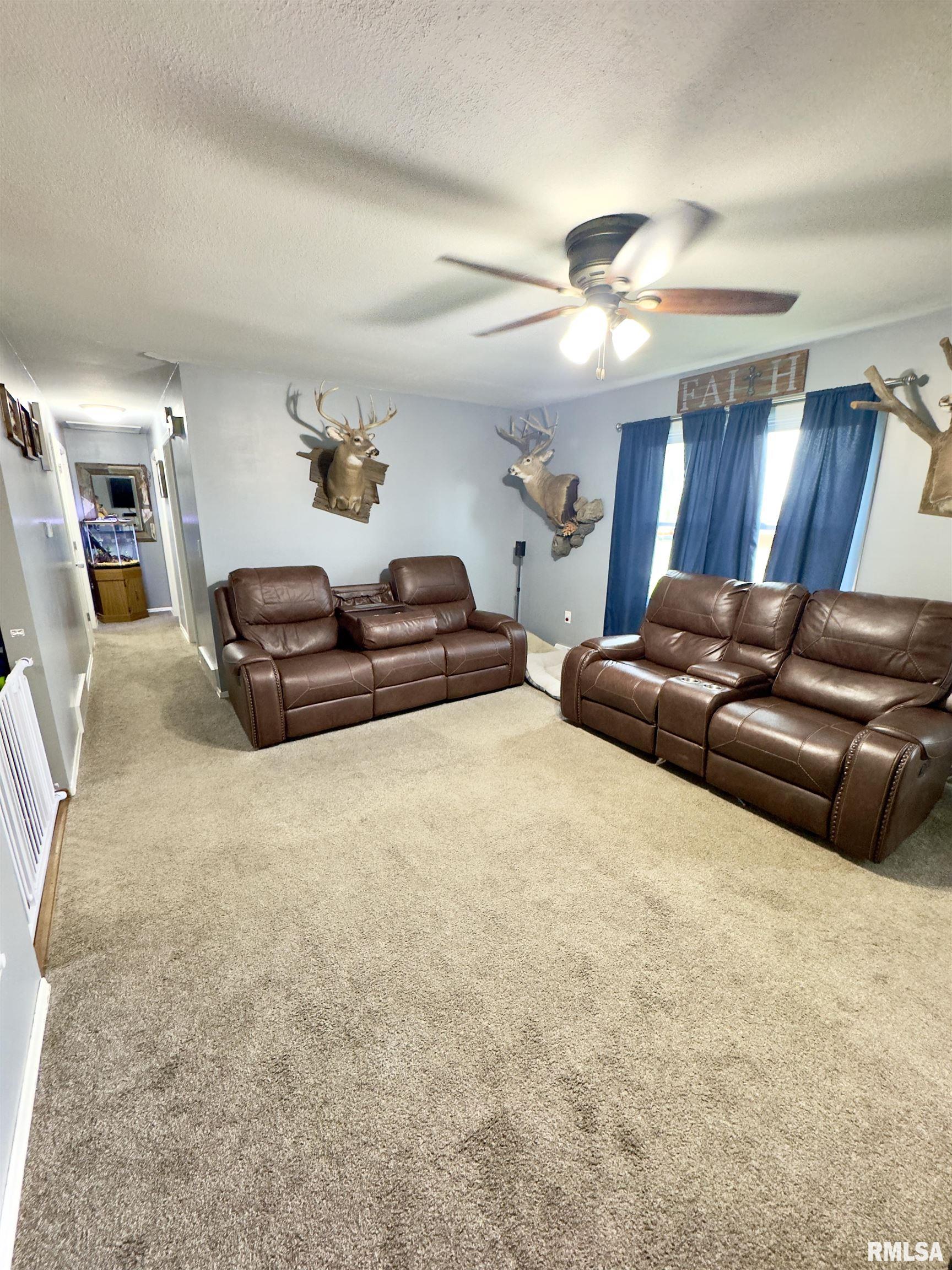 512 Magnolia Street Payson, IL 62360 - Photo 5 of 30