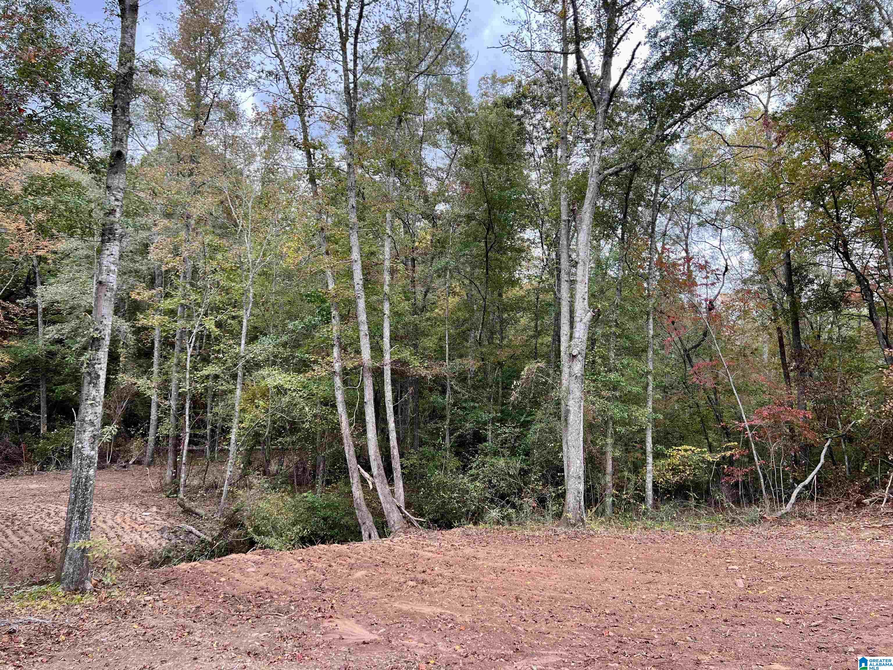 0 County Road 4 Wedowee, AL 36278 - Photo 10 of 24