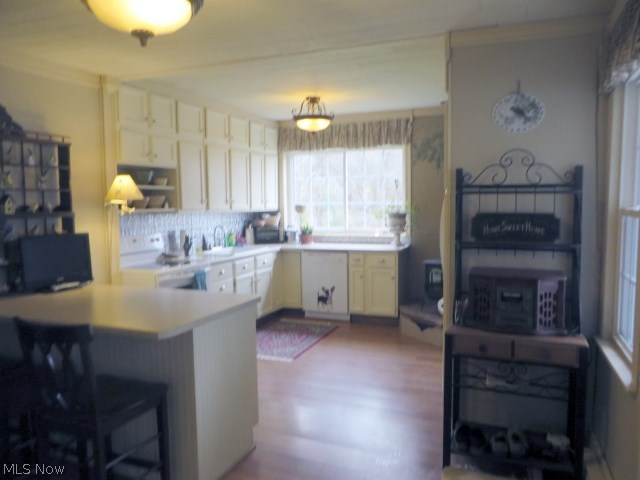 Gallery Image 6
