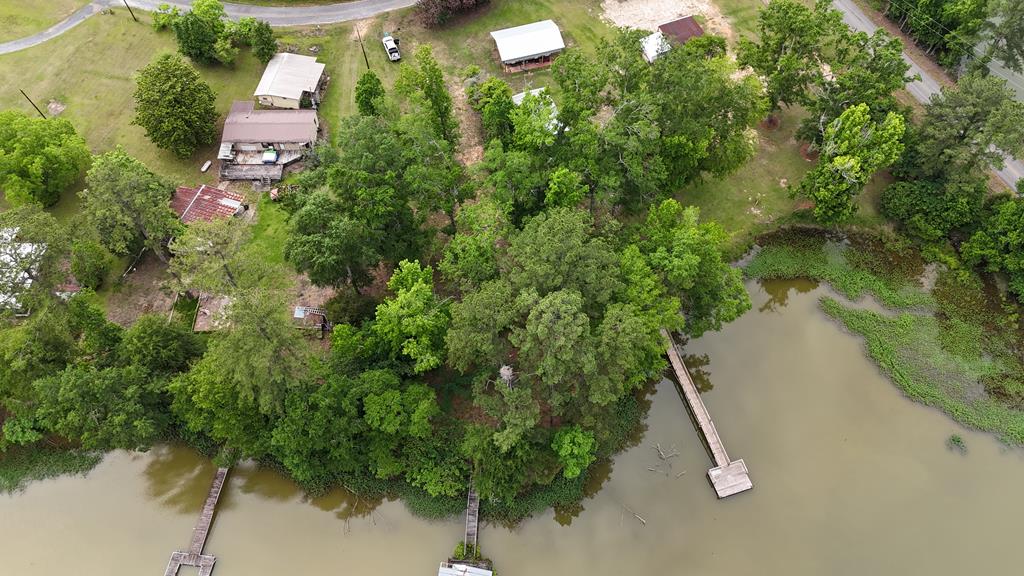 0 Hudspeth Drive Abbeville, AL 36310 - Photo 1 of 15