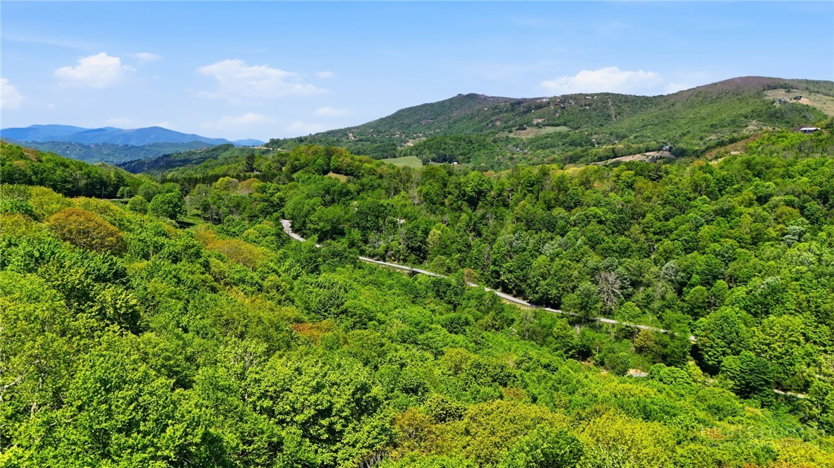 Lot #31 Snow Ridge Road Banner Elk, NC 28604 - Photo 6 of 19 Gallery Image 6