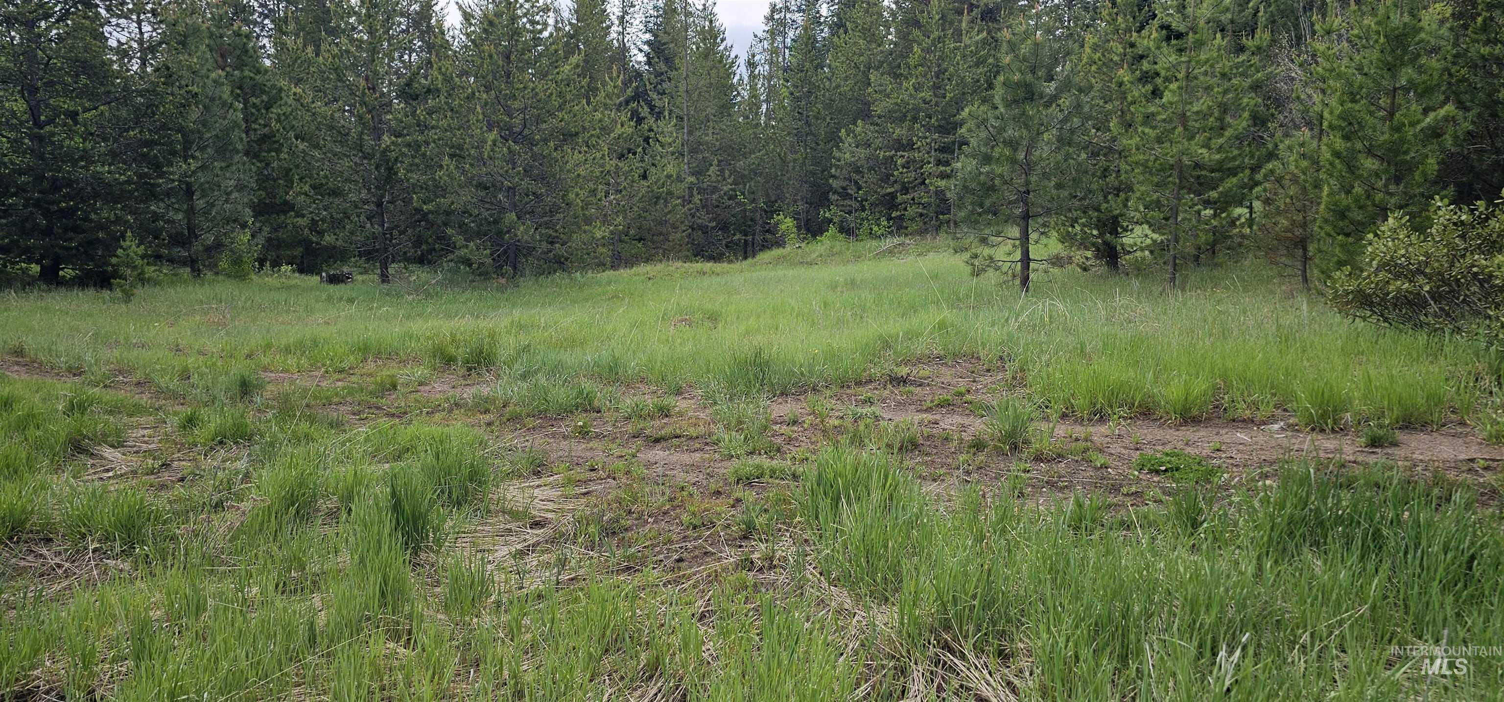 23 Sawtooth Loop Cascade, ID 83611 - Photo 10 of 45