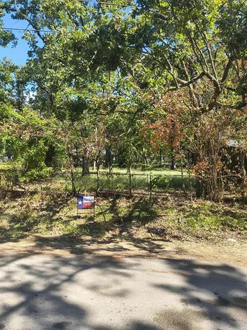 a view of a park with large trees