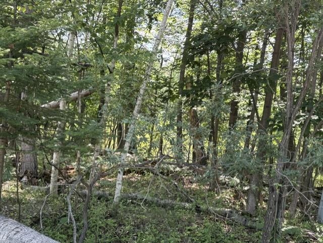 61 Rolling Hills Road West Branch, MI 48661 - Photo 6 of 11 1947956-a5f4e3c8-31e0-4c9b-8d27-821e76bc412f.JPG