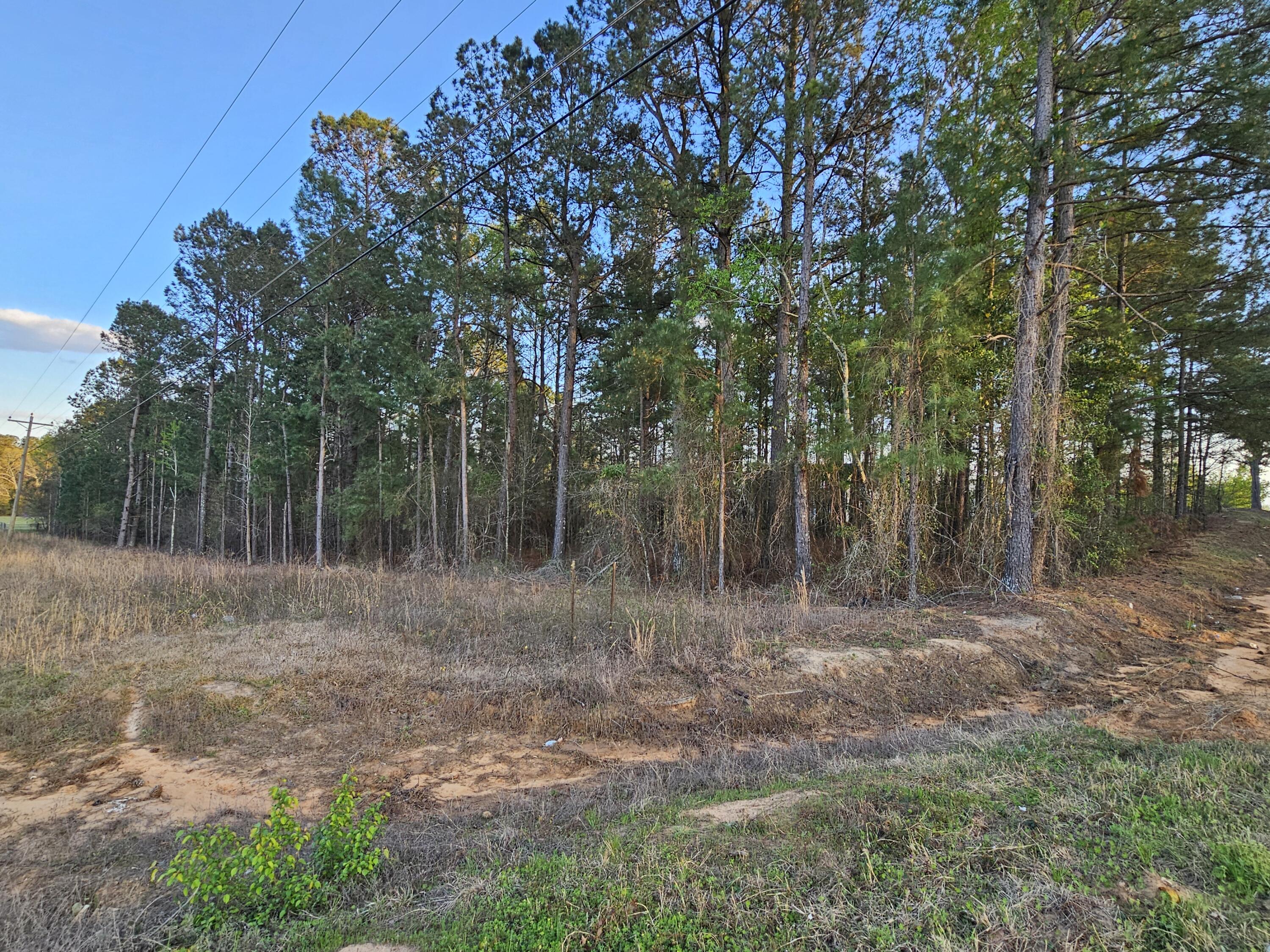 0 Walnut Street Waynesboro, GA 30830 - Photo 1 of 4 20250328_190649