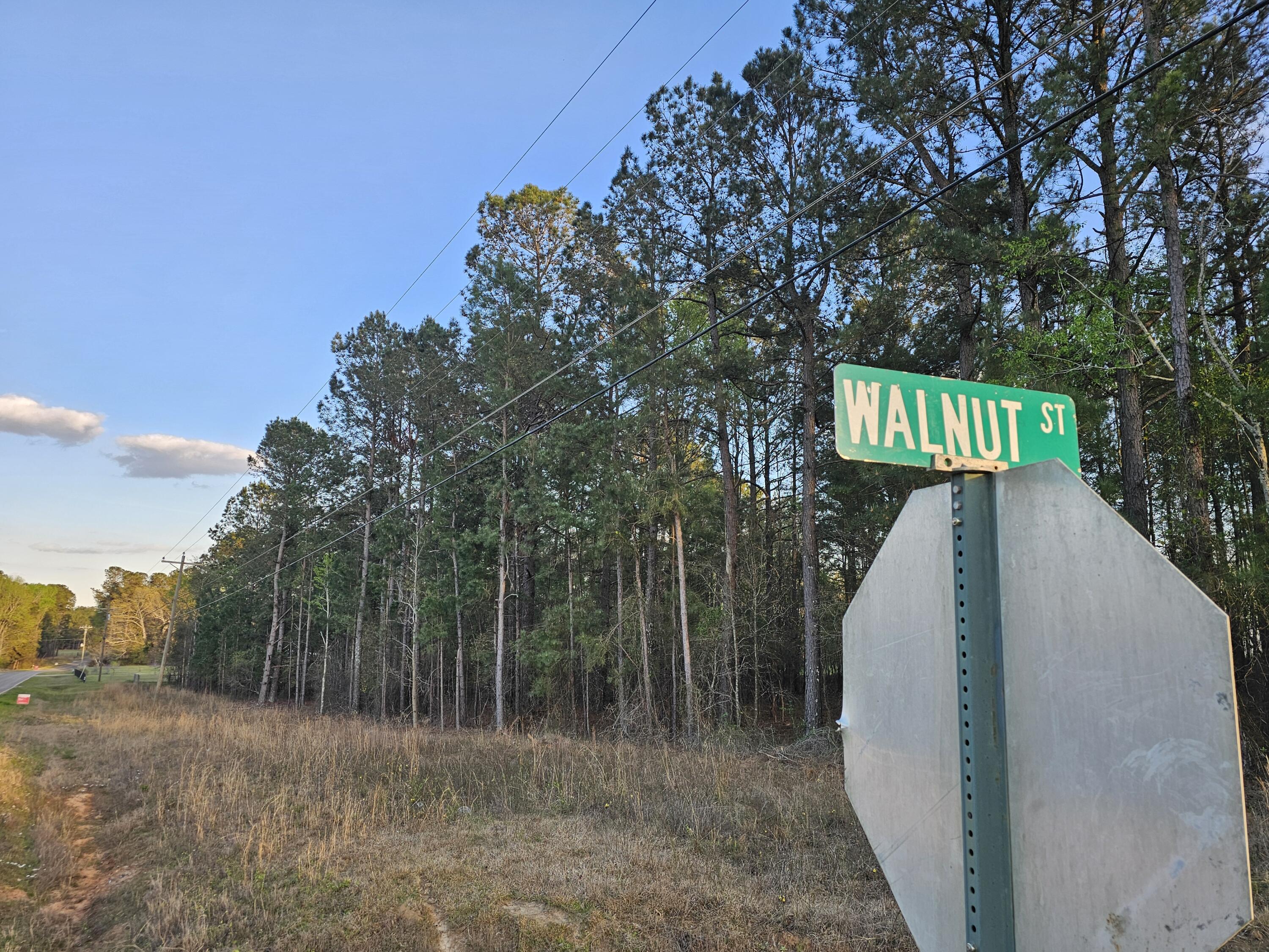 0 Walnut Street Waynesboro, GA 30830 - Photo 3 of 4 20250328_190633