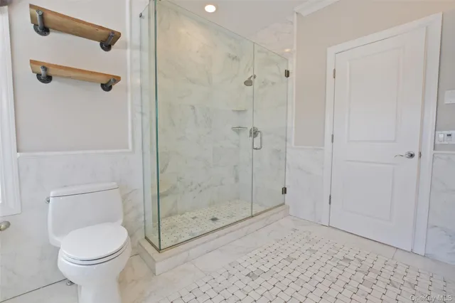 a bathroom with a shower and a toilet