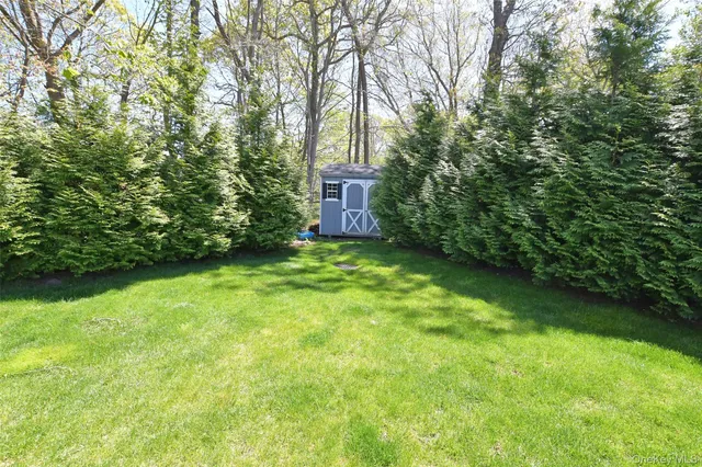 a view of a back yard