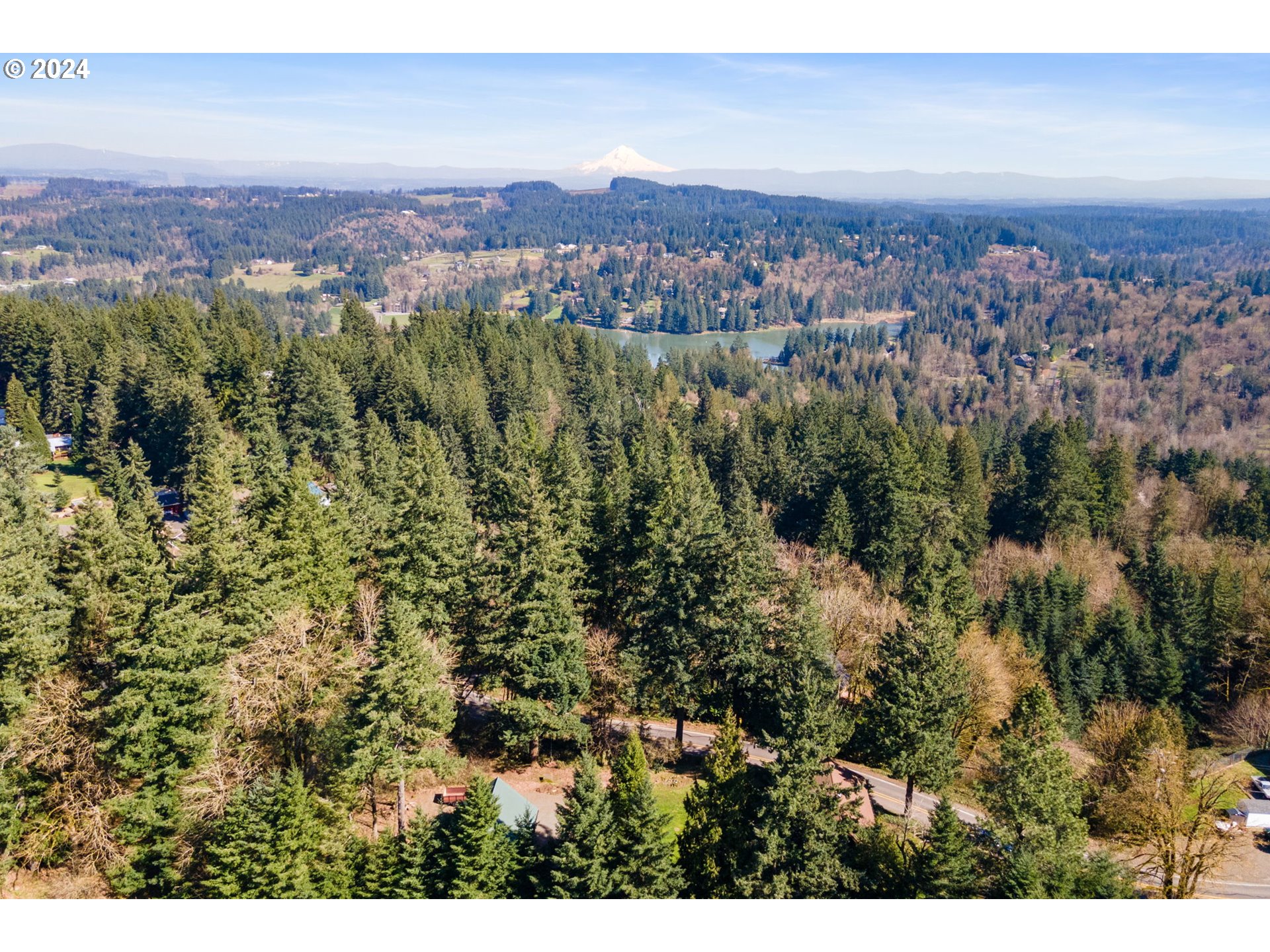 16441 South Henrici Road Oregon City, OR 97045 - Photo 41 of 41 an aerial view of residential house and green space
