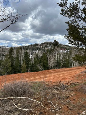 524 West Ski View Drive Brian Head, UT 84719 - Photo 6 of 11 Expansive land parcel featuring a red earth road and forested hillside