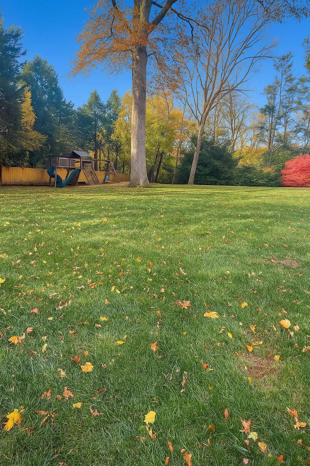 142 Brookside Road Darien, CT 06820 - Photo 18 of 18 a view of a park with large trees