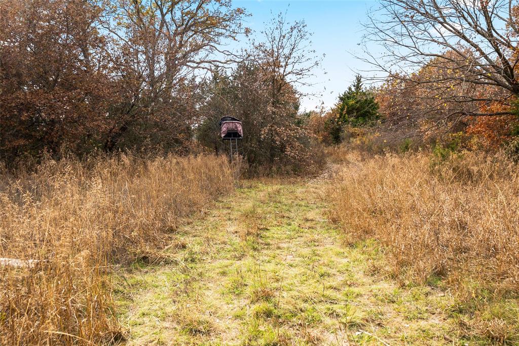 2409 Schoolhouse Road Forestburg, TX 76239 - Photo 31 of 40