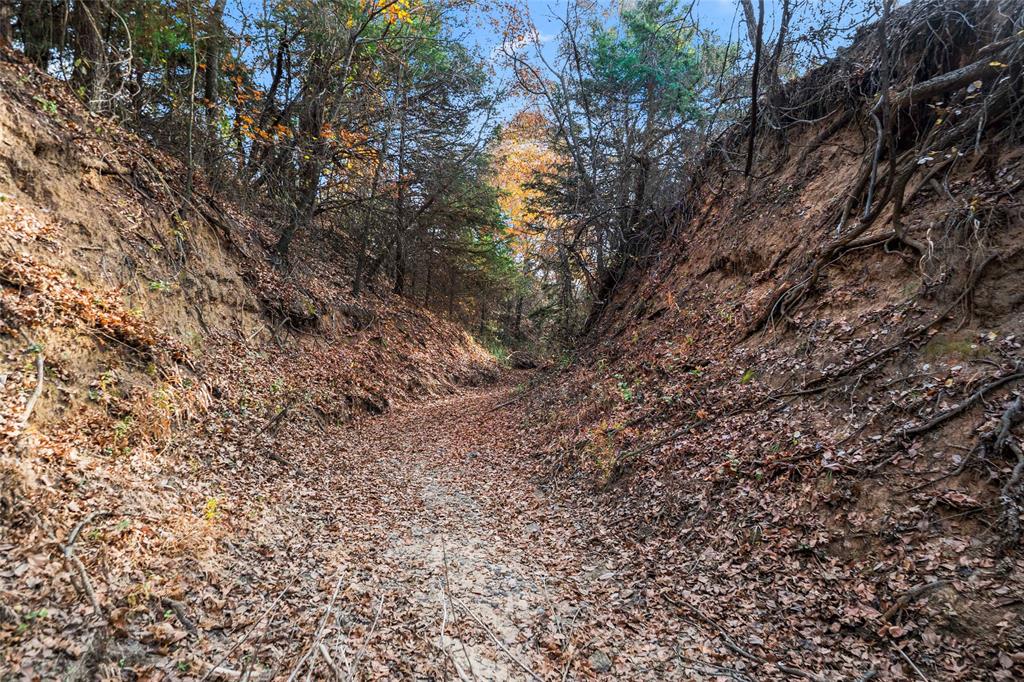 2409 Schoolhouse Road Forestburg, TX 76239 - Photo 4 of 40